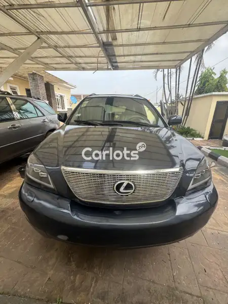 Nigerian Used Lexus RX 350 2008 Blue for sale in Ikorodu, Lagos